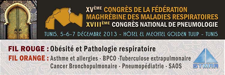 FMMR2013 Banner
