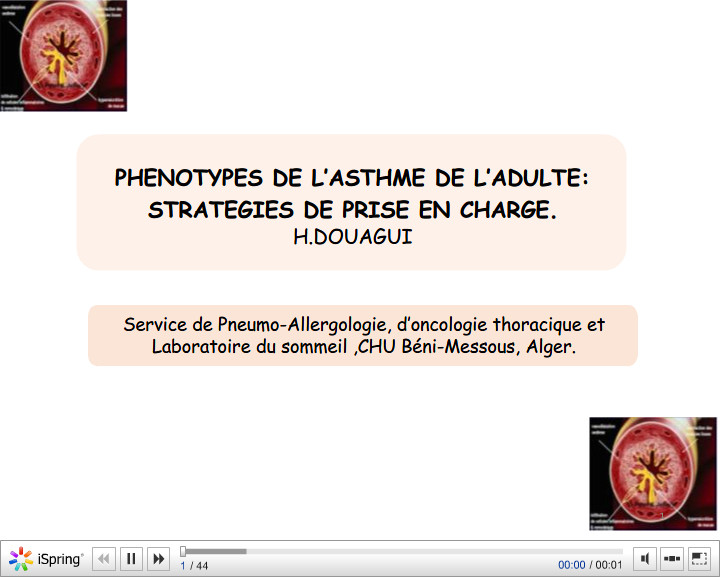 Phénotypes de l'asthme de l'adulte stratégies de prise en charge. H. Douagui