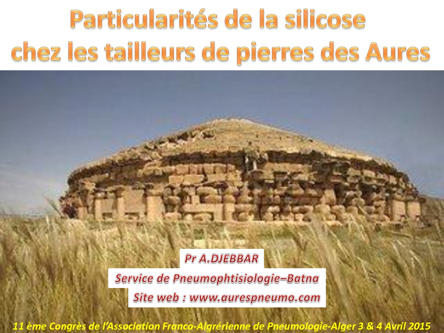 Particularités de la silicose chez les tailleurs de pierres des Aures. A. Djebbar